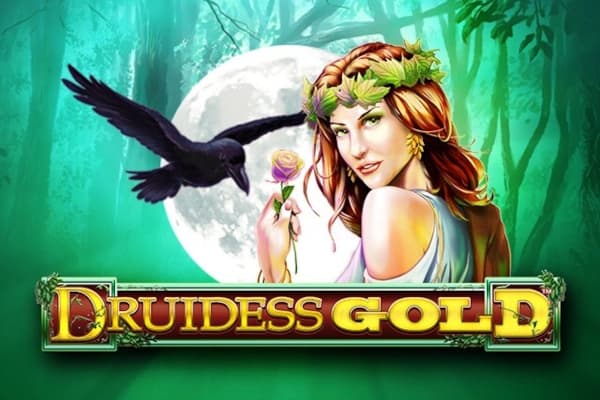 Druidess Gold slot cover image